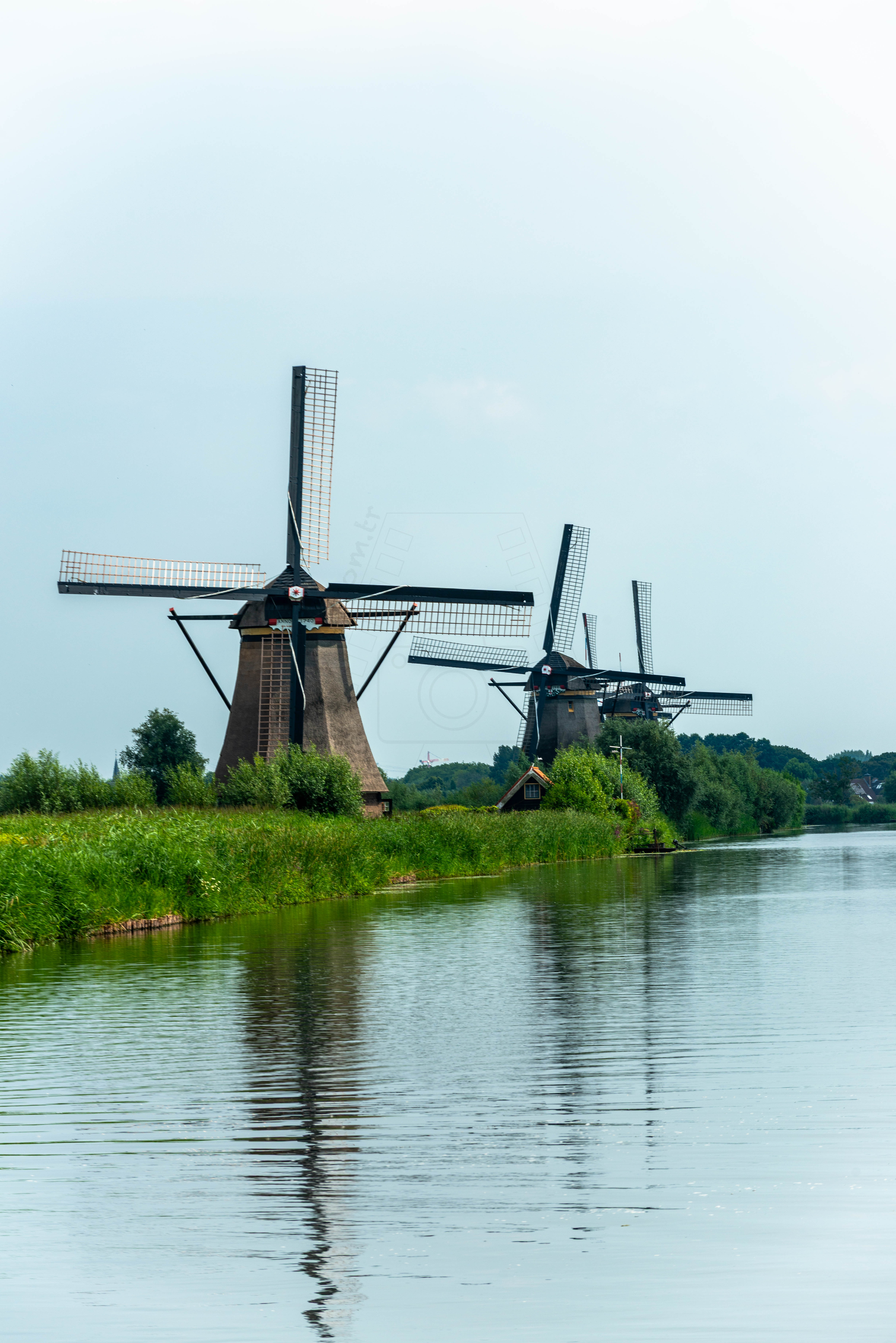 Kinderdijk