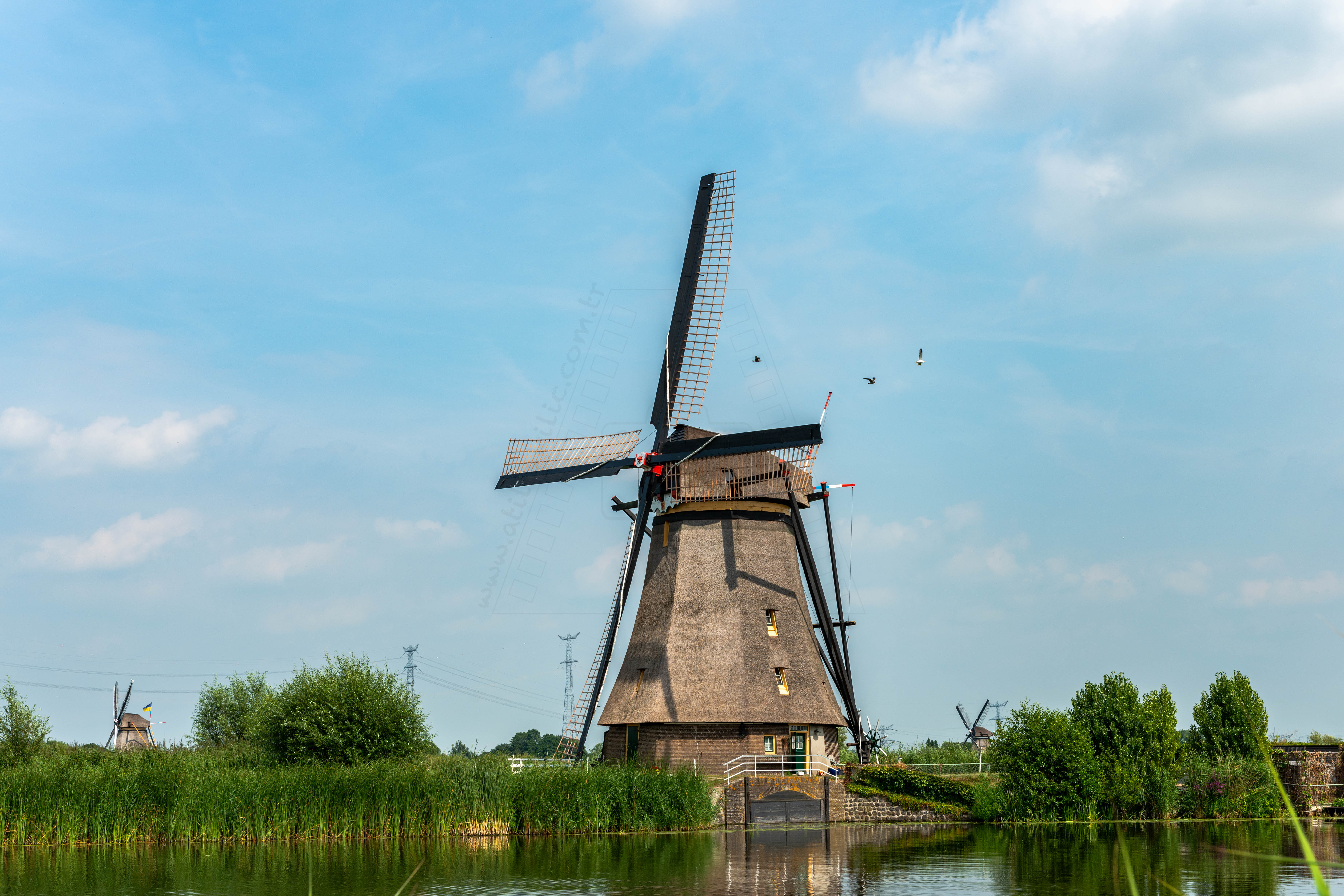 Kinderdijk