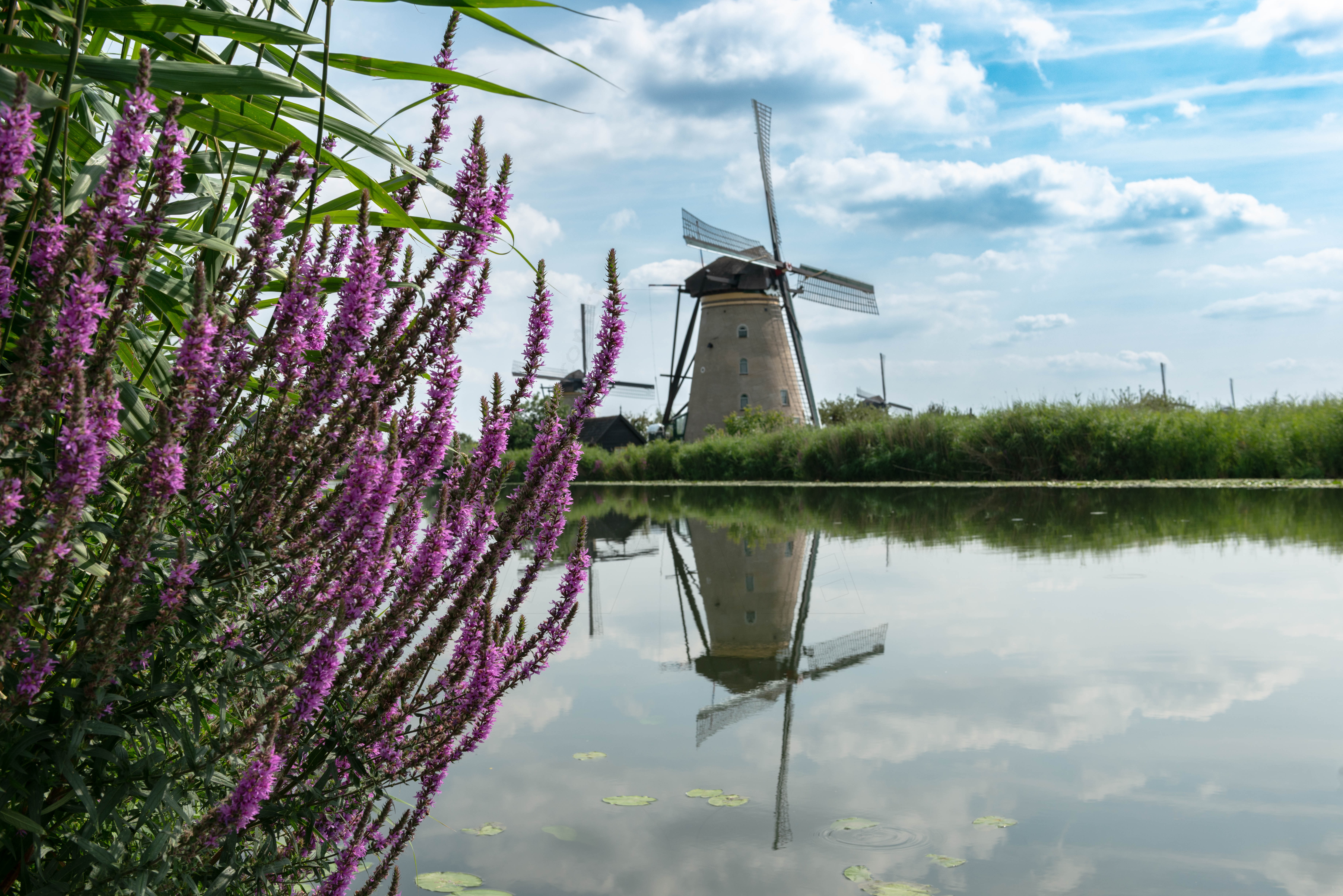 Kinderdijk