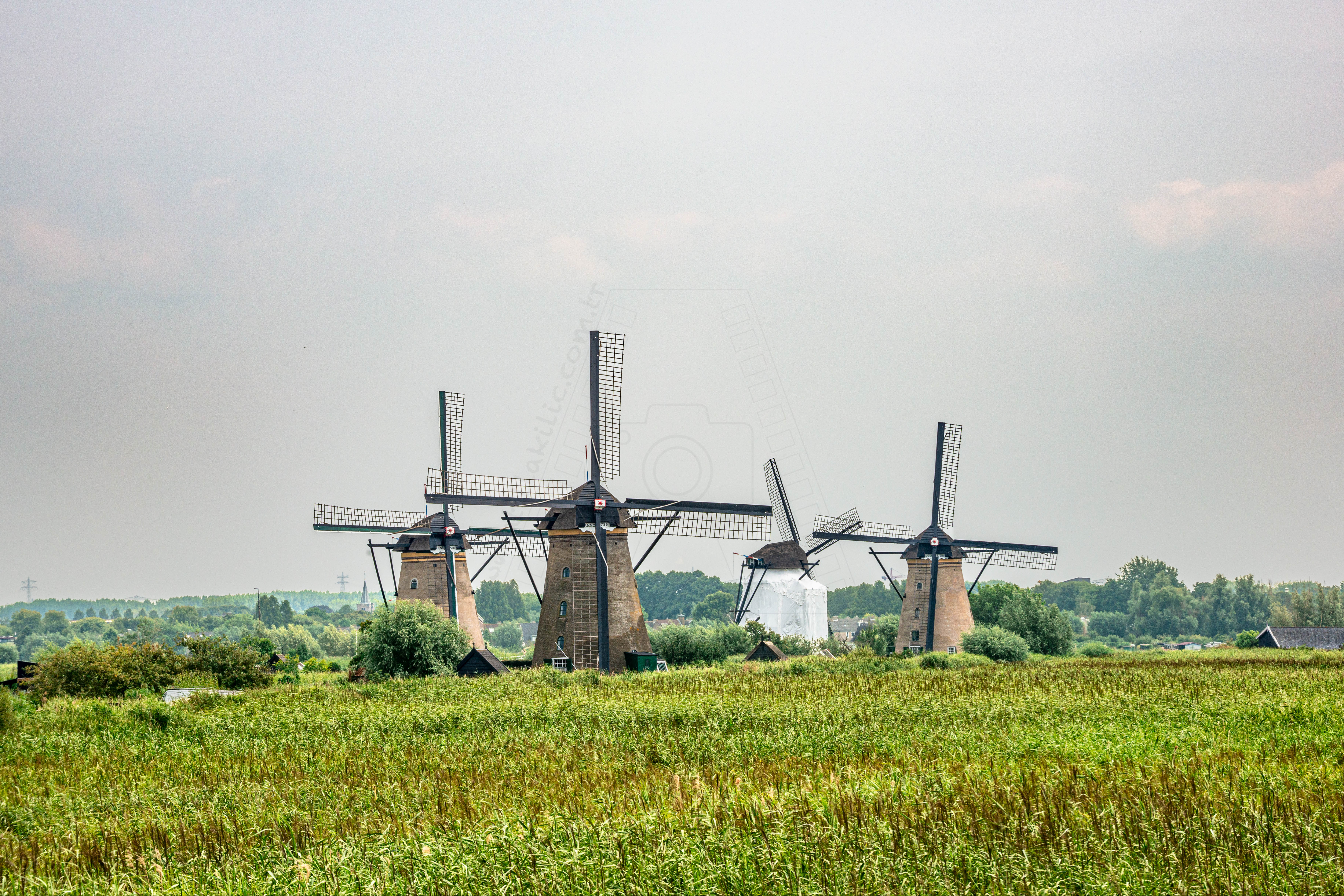 Kinderdijk