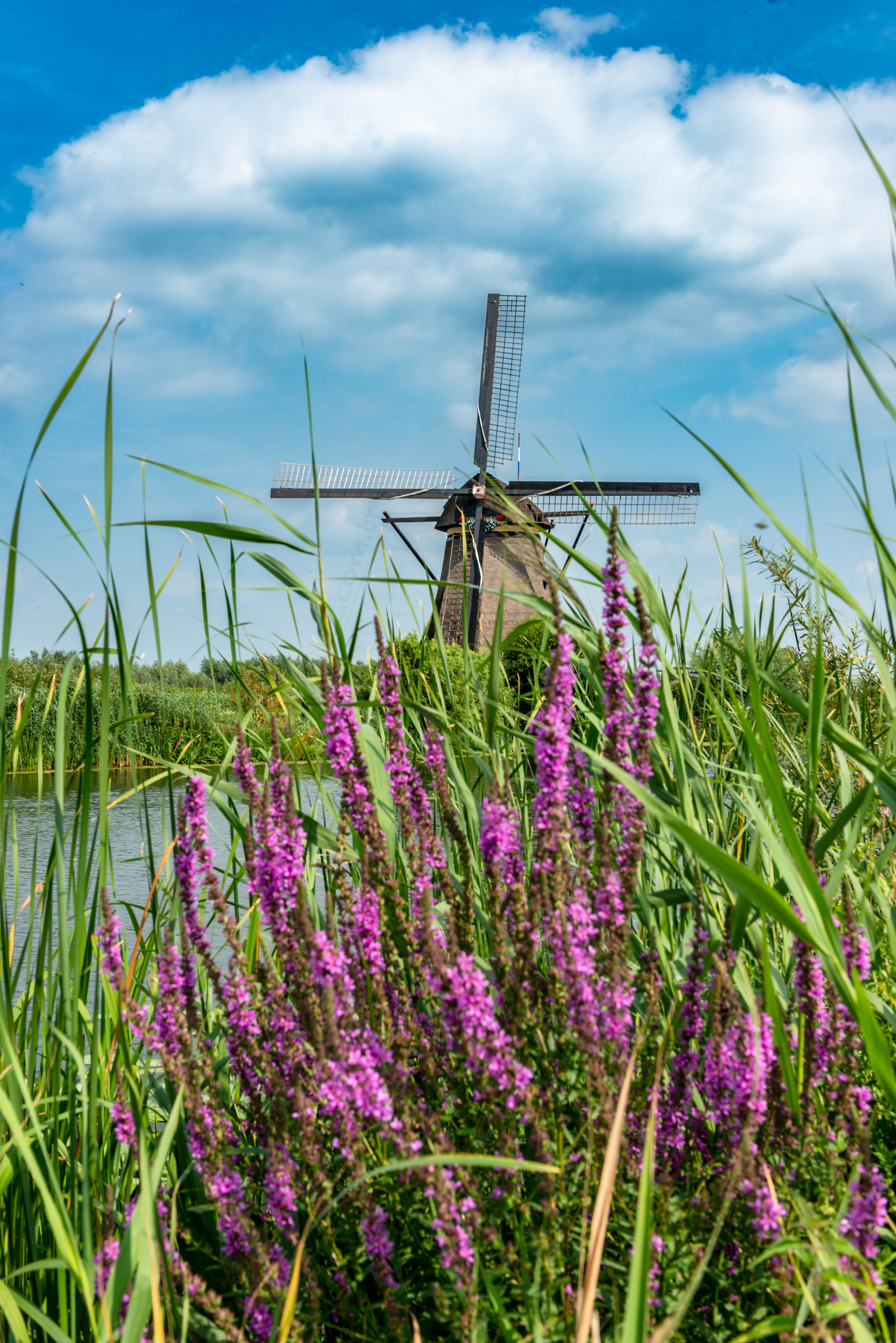 Kinderdijk