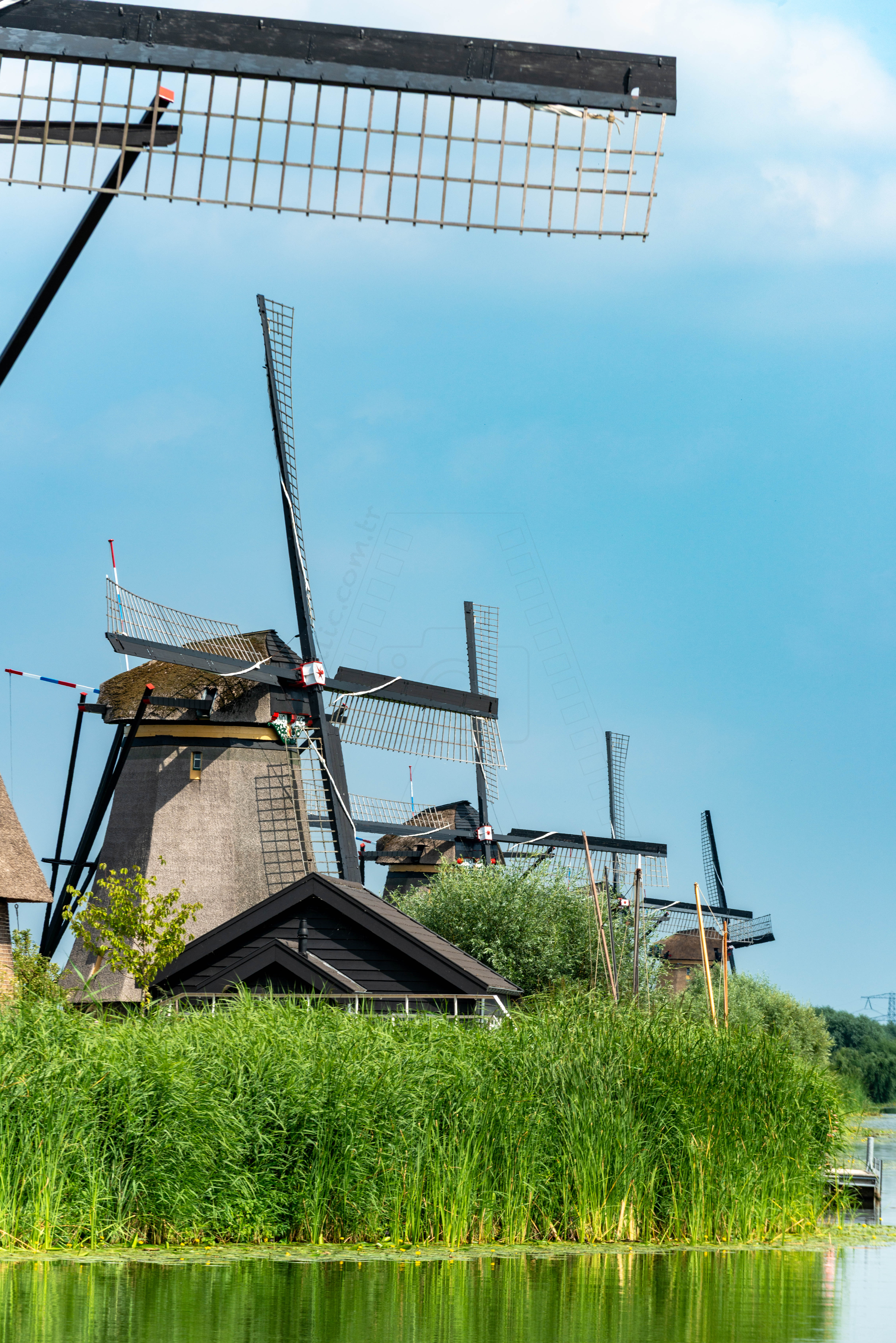 Kinderdijk