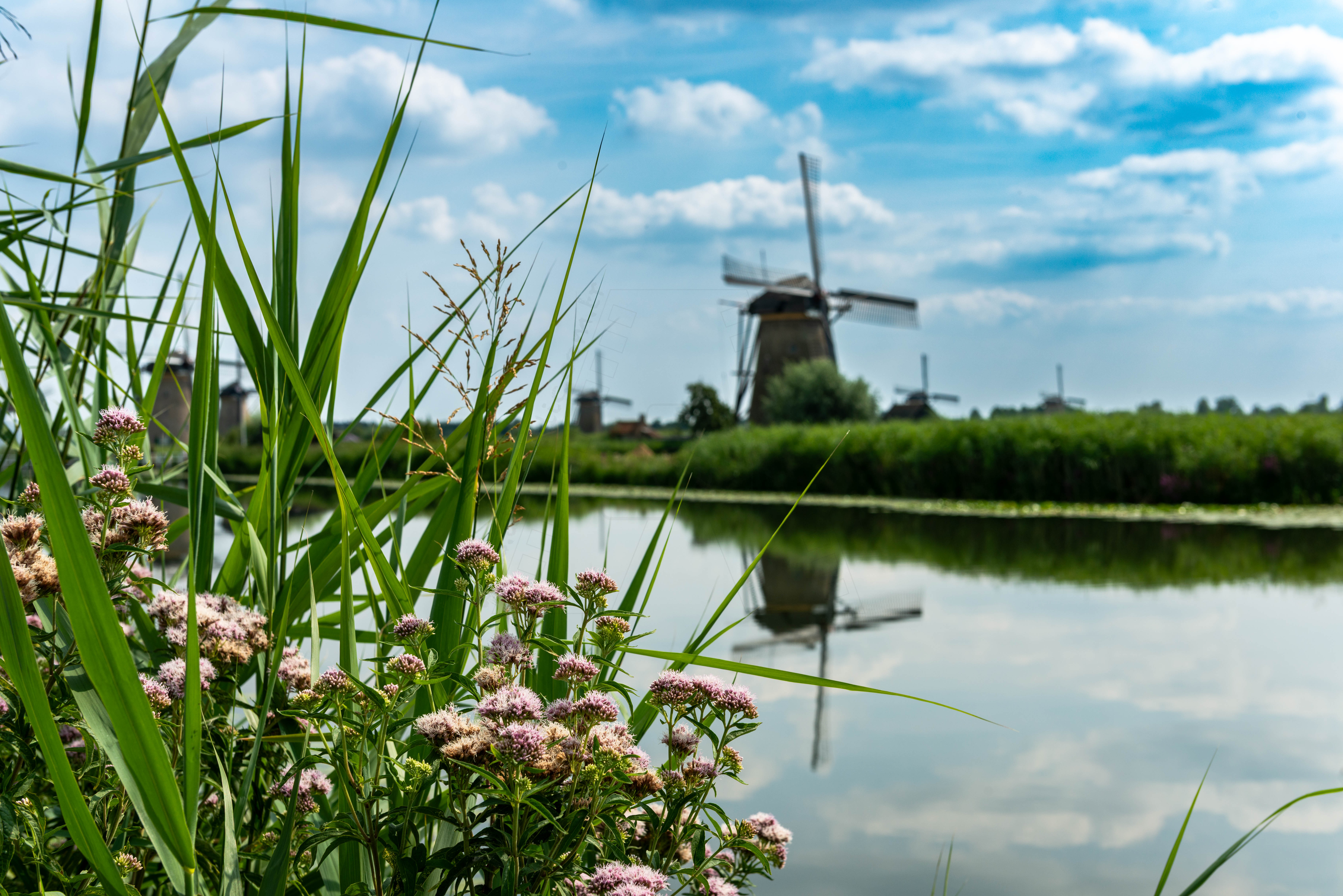 Kinderdijk