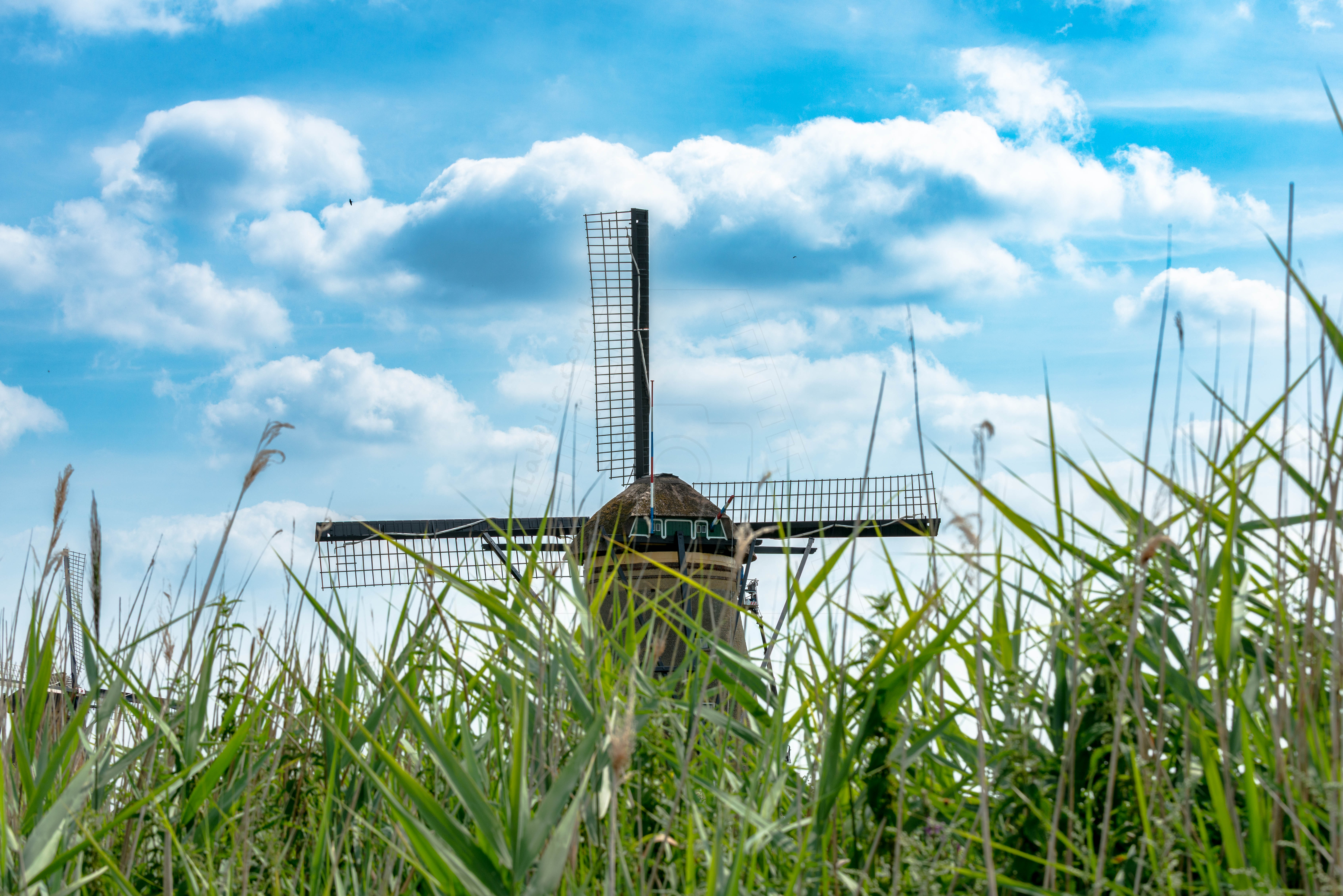 Kinderdijk