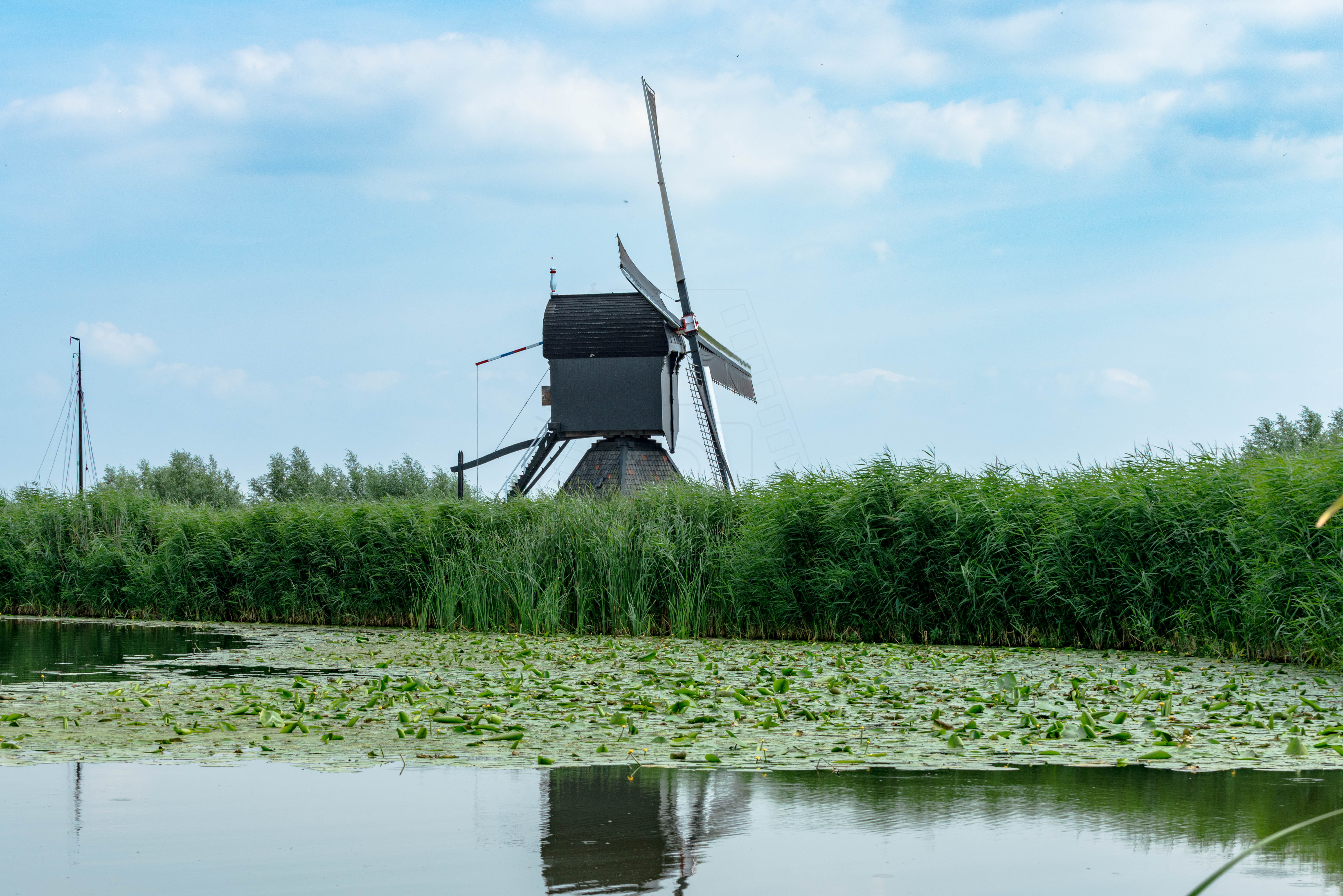 Kinderdijk