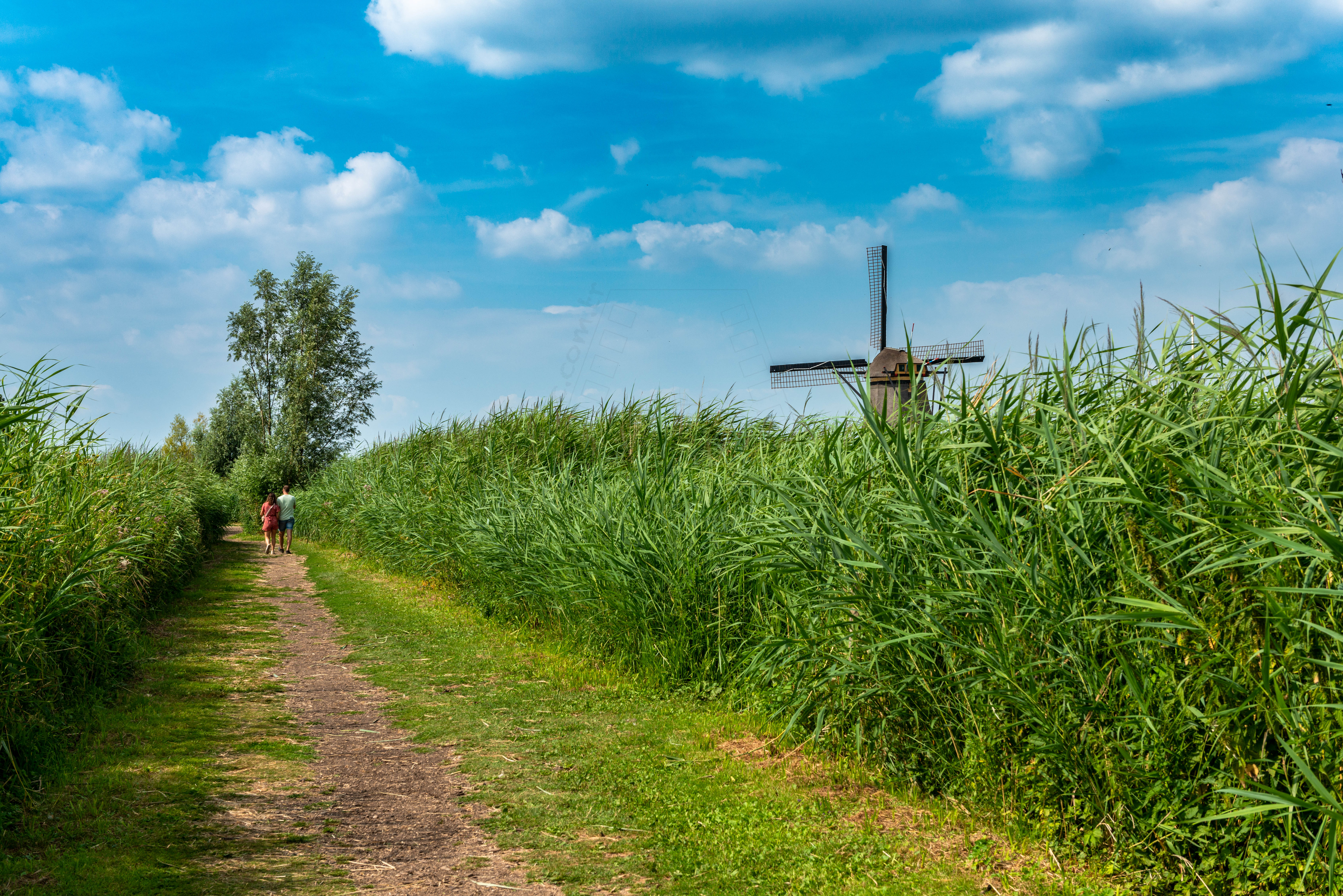 Kinderdijk