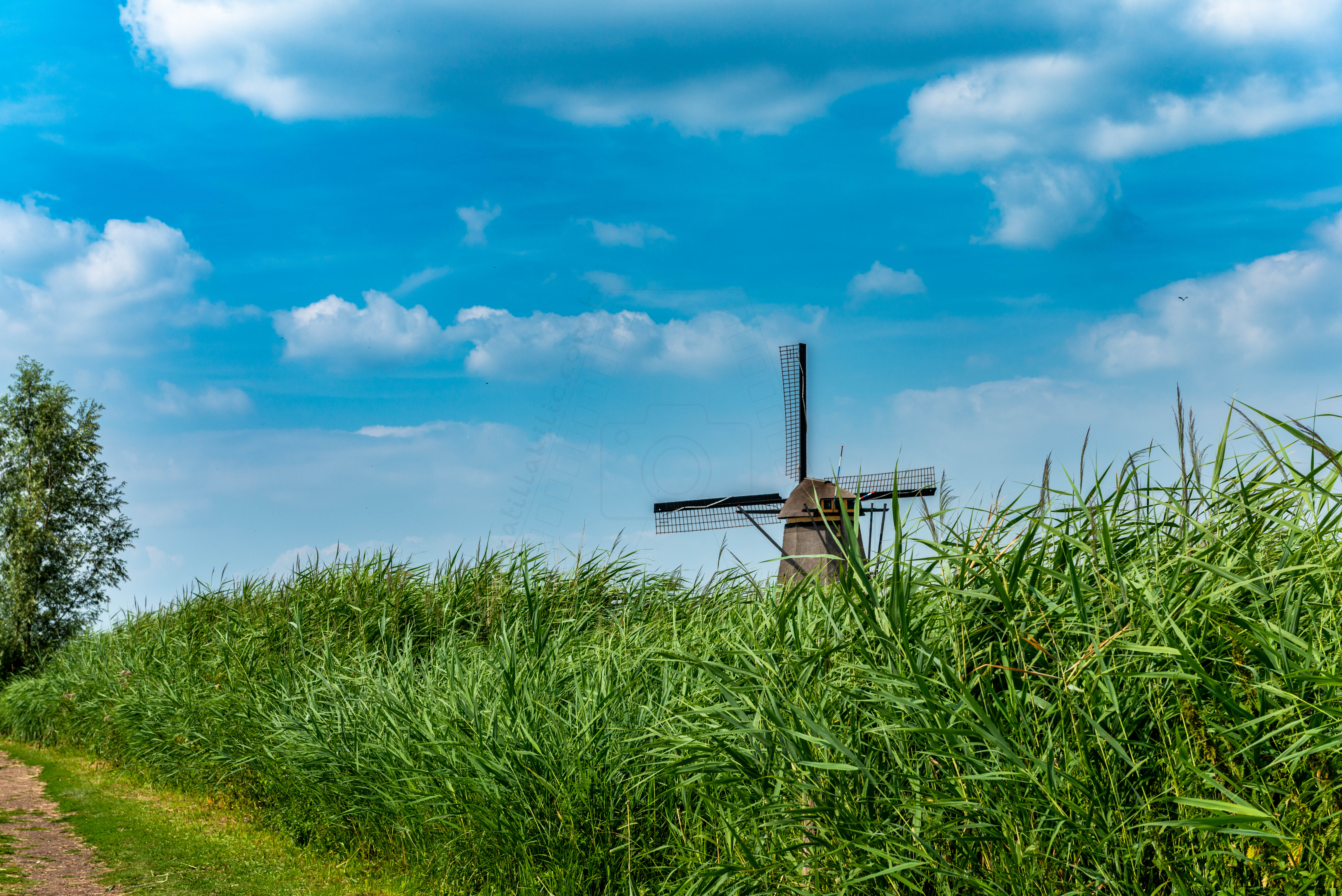 Kinderdijk